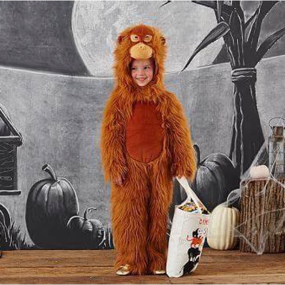 Pottery Barn Kids Brown Monkey Costume - Picture 3 of 6
